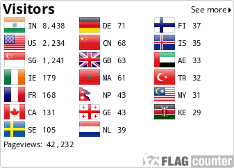 Flag Counter