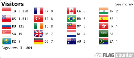 Flag Counter