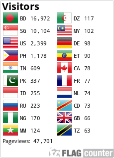 Flag Counter