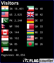 Flag Counter