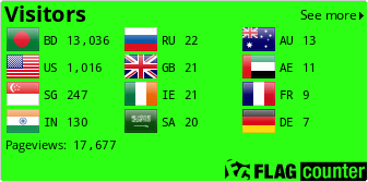 Flag Counter