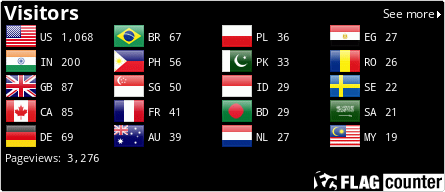 Flag Counter