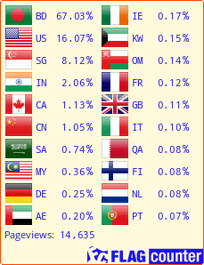 Flag Counter
