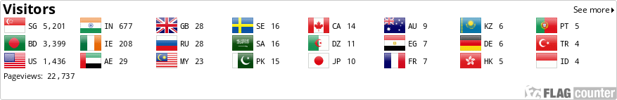 Flag Counter