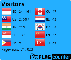 Flag Counter