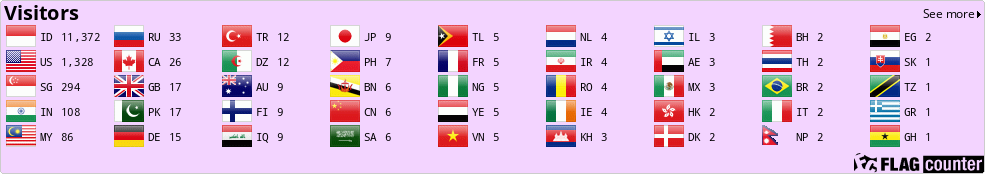 Flag Counter