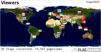 Flag Counter
